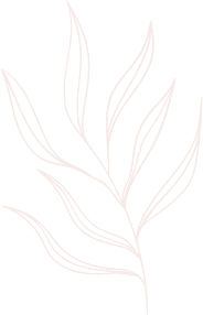 elements-line-drawing-leaves-illustrations-and-art-brushes-7UJ4G2S.png
