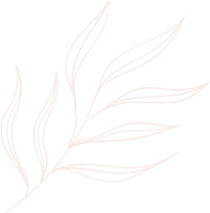 elements-line-drawing-leaves-illustrations-and-art-brushes-7UJ4G2S_2.png