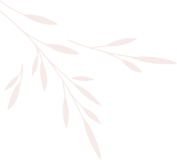 elements-set-of-natural-and-floral-elements-G9XCU6B.png