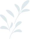 elements-set-of-natural-and-floral-elements-G9XCU6B_about.png