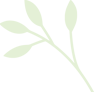 elements-set-of-natural-and-floral-elements-G9XCU6B_green.png