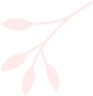 elements-set-of-natural-and-floral-elements-G9XCU6B_pink.png