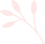 elements-set-of-natural-and-floral-elements-G9XCU6B_pink_2.png