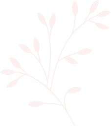 elements-set-of-natural-and-floral-elements-G9XCU6B_procedures.png