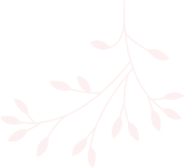 elements-set-of-natural-and-floral-elements-G9XCU6B_procedures_2.png