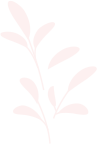 elements-set-of-natural-and-floral-elements-G9XCU6B_services.png