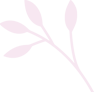 elements-set-of-natural-and-floral-elements-G9XCU6B_violet.png