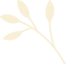 elements-set-of-natural-and-floral-elements-G9XCU6B_yellow.png